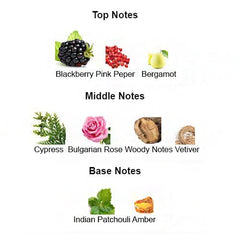 ABSOLUTE GUILTY for Women - Scents by Saka