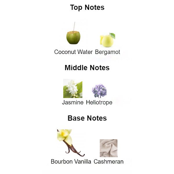 Fragrance notes of ALIEN GODDESS Gen.Z β coconut, jasmine, and bourbon vanilla inspired by THIERRY MUGLER ALIEN GODDESS.