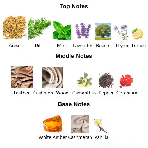 Fragrance notes of ALIEN MAN Gen.Z – leather, woods, and herbs inspired by THIERRY MUGLER ALIEN MAN.