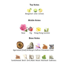 AMBER AOUD Unisex - Scents by Saka