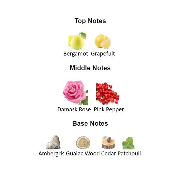 AMBER NOIR Unisex - Scents by Saka