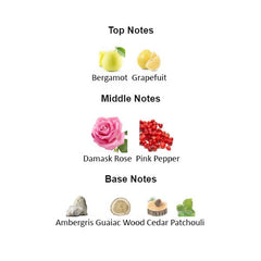 AMBER NOIR Unisex - Scents by Saka