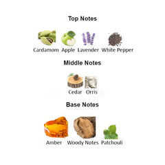 AMBER WOOD Unisex - Scents by Saka