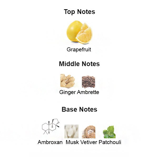 Fragrance notes of ANIMAL – citrus, ginger, and woody accords inspired by BVLGARI TYGAR.