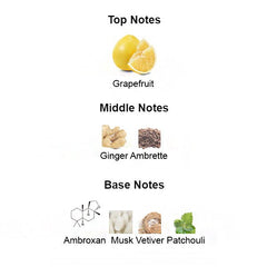 Fragrance notes of ANIMAL – citrus, ginger, and woody accords inspired by BVLGARI TYGAR.