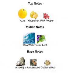 AQUA INVICTO for Men - Scents by Saka