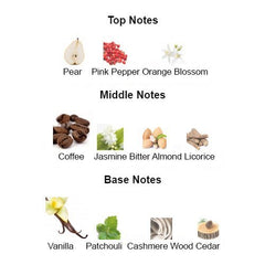 BLACK OPIUM for Women - Scents by Saka