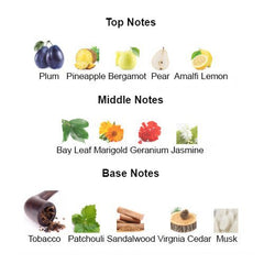 CIGAR for Men - Scents by Saka