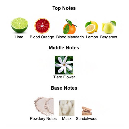 Explore the exquisite fragrance notes of City of Stars, inspired by Louis Vuitton. The top notes include fresh citrus and vibrant bergamot, followed by a floral heart of jasmine and rose. The base notes of sandalwood, musk, and patchouli create a rich and lasting signature scent suitable for both men and women.