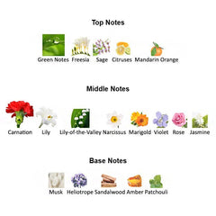 ETERNITY ESSENCE for Women - Scents by Saka