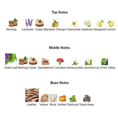 FAHRENHEIT ESSENCE for Men - Scents by Saka