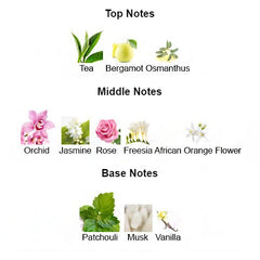 FLOWER BOMB for Women - Scents by Saka