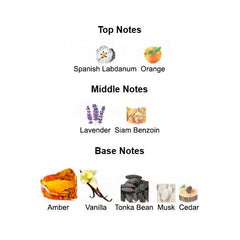 Fragrance notes of GRAND SOIR 2024 – amber, labdanum, and tonka bean inspired by MFK GRAND SOIR.