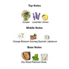 Fragrance notes of GUILTY MMXX – lavender, lemon, and patchouli inspired by GUCCI GUILTY for Men.