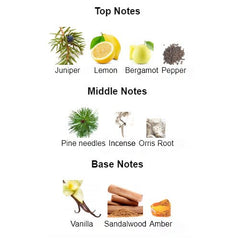 Explore the dynamic fragrance notes of GYPSY WATER EFFECT Unisex. The top notes feature refreshing bergamot and lemon, followed by heart notes of juniper berries, incense, and pine needles. The base notes of sandalwood, vanilla, and amber create a warm, woody finish, offering a unique, unisex scent that evokes the spirit of adventure and nature.