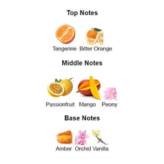 HIBISCUS for Women - Scents by Saka