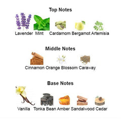 LE MALE ESSENCE for Men - Scents by Saka