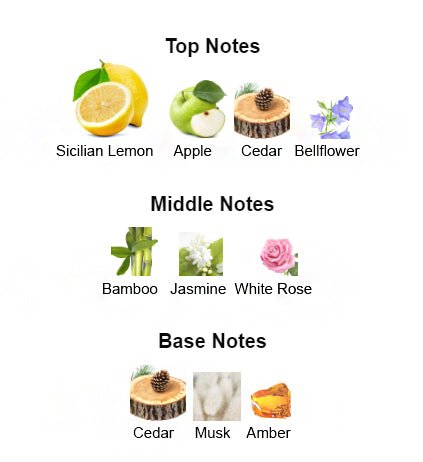 LIGHT BLUE for Women - Scents by Saka