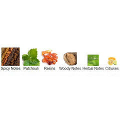 Fragrance notes of LORD OF OUD – fresh, woody, and musky tones inspired by LORD by AL REHAB.