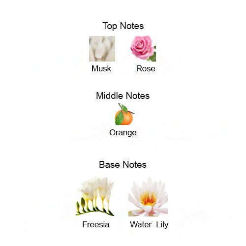 MUSK ROSE Unisex - Scents by Saka