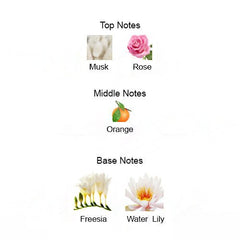 MUSK ROSE Unisex - Scents by Saka