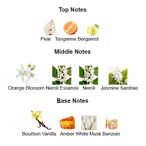 Fragrance notes of PARADOX – floral, amber, and musky layers inspired by PRADA PARADOXE for women.