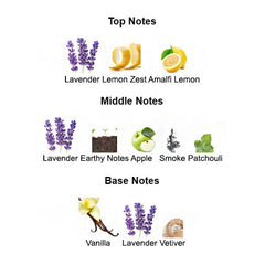 Fragrance notes of PHANTOM MMXXI – citrus, lavender, and vanilla inspired by PACO RABANNE PHANTOM.