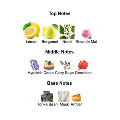 POUR HOMME MMVIII for Men - Scents by Saka