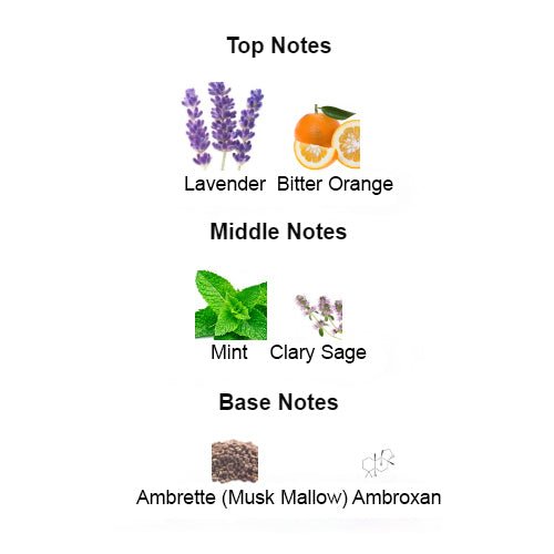 Fragrance notes of RED MOON – lavender, orange, and ambroxan inspired by PRADA LUNA ROSSA for Men.