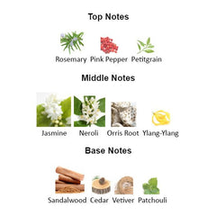 REFLECTION OF A MAN for Men - Scents by Saka