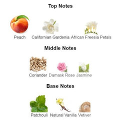 RUSH for Women - Scents by Saka