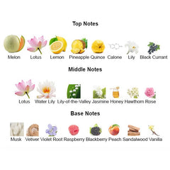 Fragrance notes of SAKA's COOLWATER – melon, lotus, and musk inspired by DAVIDOFF COOLWATER FOR WOMEN.