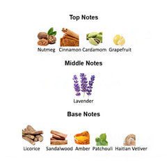 Fragrance notes of SAVAGE ELIXIR MMXV – amber, vanilla, and spices inspired by DIOR SAUVAGE ELIXIR.