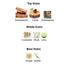 Fragrance notes of TAM DAO MMXIII – sandalwood, cedarwood, and spices inspired by DIPTYQUE TAM DAO.