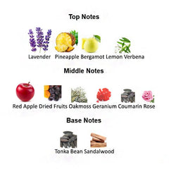 Fragrance notes of THE LEGEND MMXI – lavender, pineapple, and sandalwood inspired by MONT BLANC LEGEND.