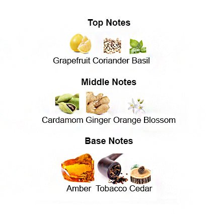 Fragrance notes of THE ONE MMVII – amber, tobacco, and spice inspired by Dolce & Gabbana The One.