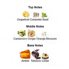 Fragrance notes of THE ONE MMVII – amber, tobacco, and spice inspired by Dolce & Gabbana The One.