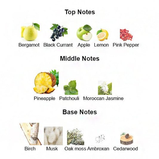 AVVENTO fragrance notes – pineapple birch musk premium inspired perfume for men, Scents by Saka