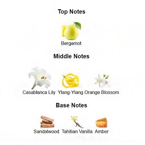 BAMBOO Parfum for Women - Scents by Saka