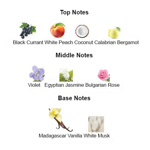 BLACK VANILLA Unisex - Scents by Saka
