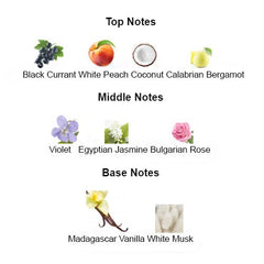 BLACK VANILLA Unisex - Scents by Saka