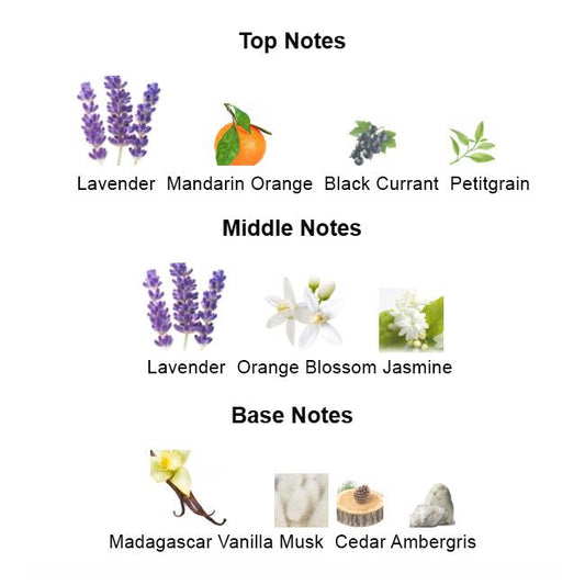 Fragrance notes of LIBRE MMXIX – lavender, orange blossom, and vanilla inspired by YSL LIBRE for Women.