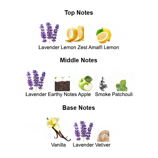 Fragrance notes of PHANTOM MMXXI – citrus, lavender, and vanilla inspired by PACO RABANNE PHANTOM.