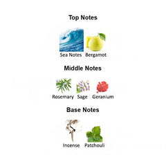 Fragrance notes of PROFUMO – bergamot, incense, and patchouli inspired by ACQUA DI GIO PROFUMO.