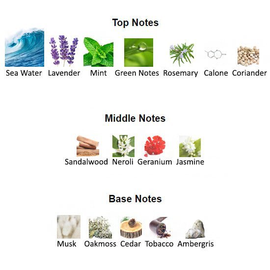 SAKA's COOLWATER for Men - Scents by Saka